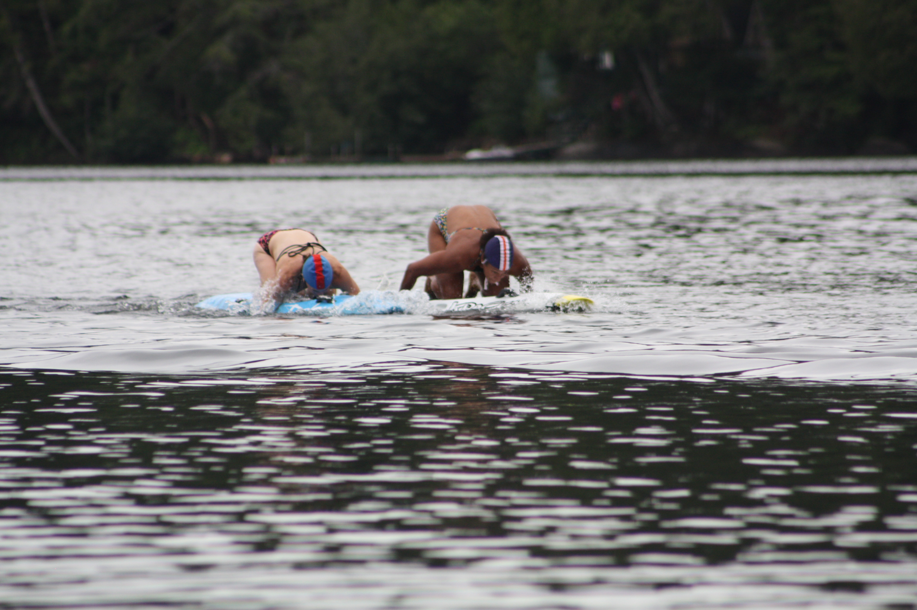 Paddle