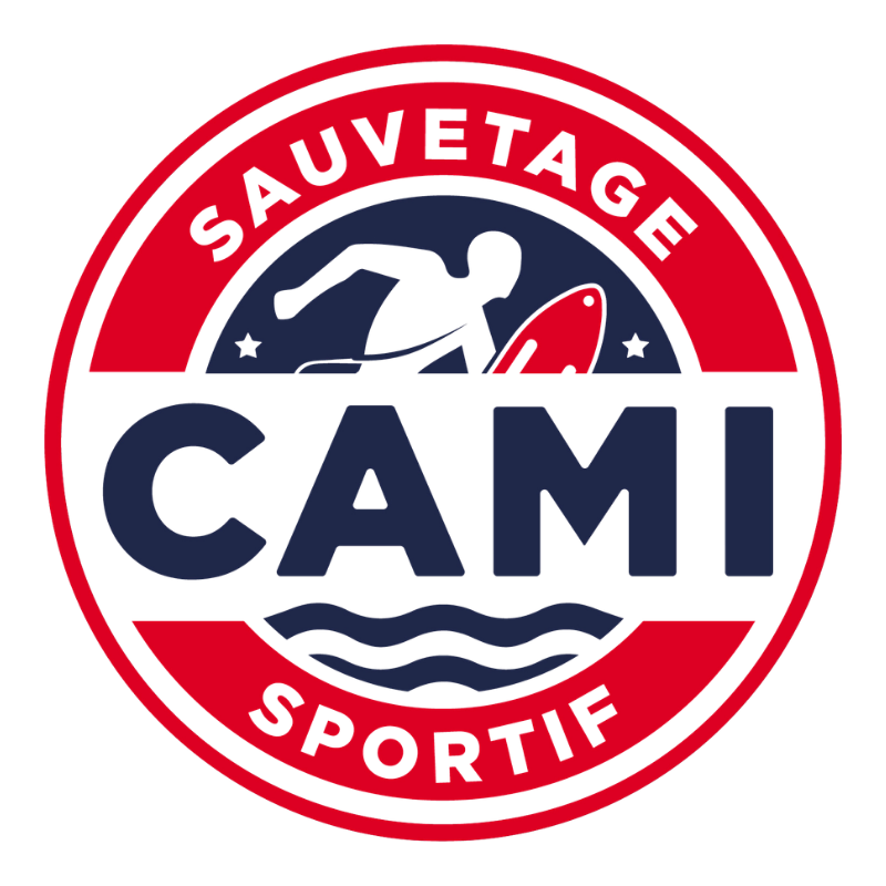 Logo CAMI