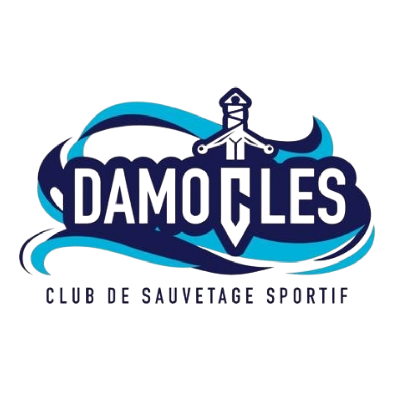 DAMOCLES